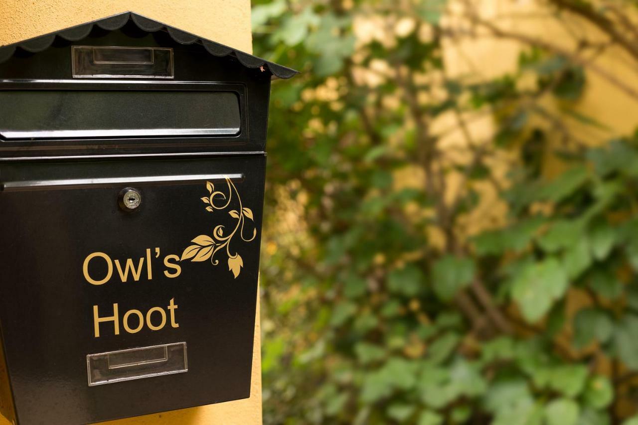 Owl'S Hoot Villa Thorndon Buitenkant foto
